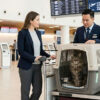 Bay cùng thú cưng trên EVA Air: Những điều cần biết trước chuyến đi